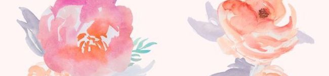 mami_9413's header image
