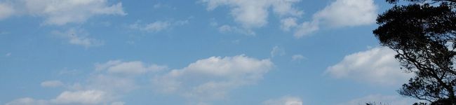でぃーぷまりん's header image