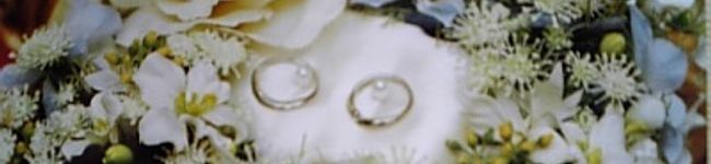 miyokoみよこ's header image