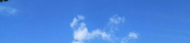 ももちゃんのれしぴ's header image