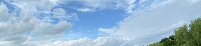 晩年だいえった's header image