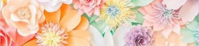 Runa0's header image