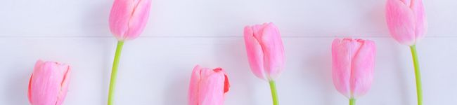 エムワイママ♪'s header image