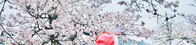 いちあめたろー's header image