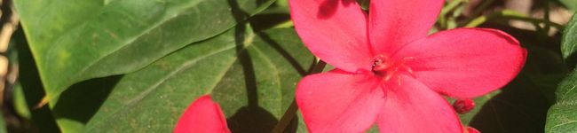 keichangch's header image