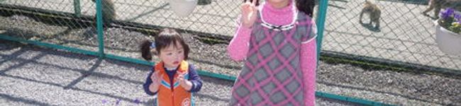 りんらん2008's header image