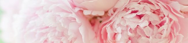 みゆう's header image