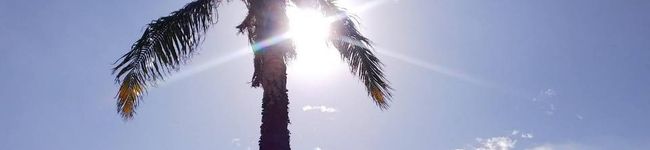 Natssu's header image