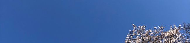 ty_156's header image