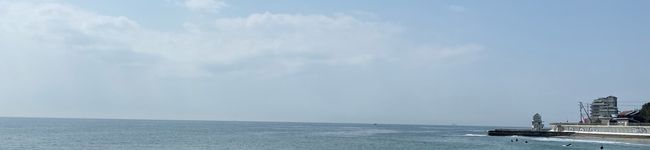 なーこ0806's header image