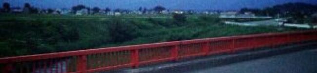 あ〜いにょん's header image