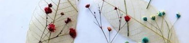 ＊Yucca＊'s header image