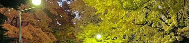 finantial's header image