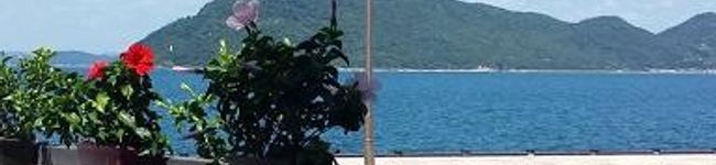 pandanpandan's header image