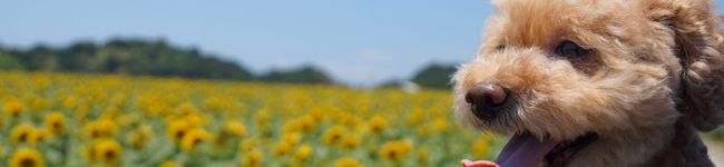 クックYN848B☆'s header image