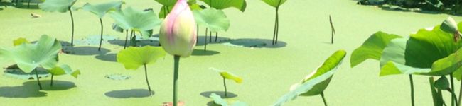いと's header image