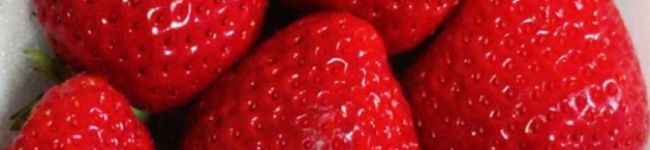 ミンミン♩'s header image