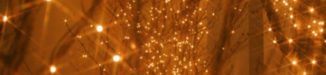 ⑅のり's header image