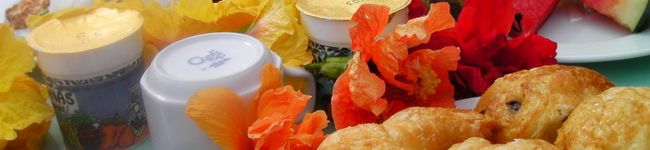 さちこcooking's header image