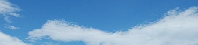 どんぐり食堂's header image