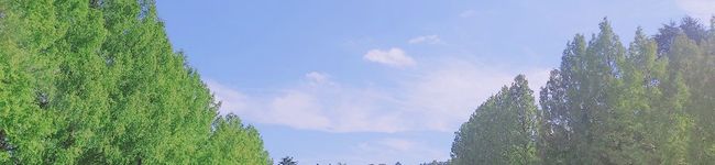 けこぴろーる's header image