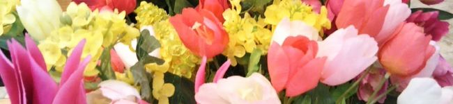 hmyyまま's header image