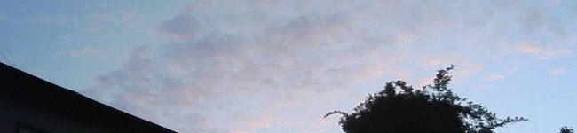 ちくきよ's header image