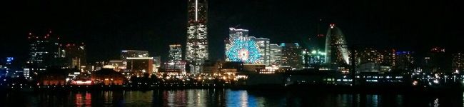 mipup's header image