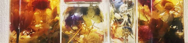 クック2NCS8M☆'s header image