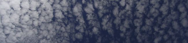 yukobasket's header image