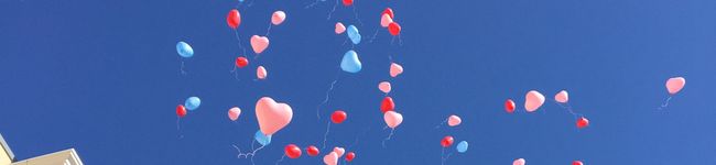 izu_cco's header image