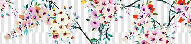 ayaya11☆彡's header image