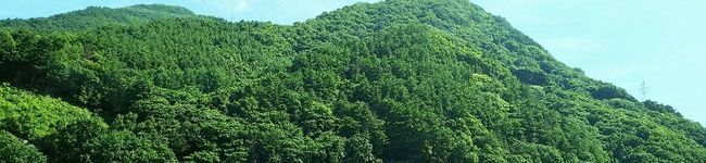 IZUママ's header image