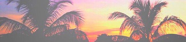 caanaaboo's header image