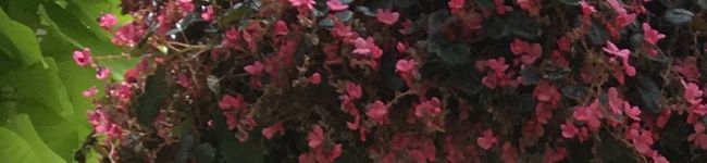 あゆあゆっち's header image