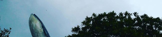 のんぶぅ。's header image