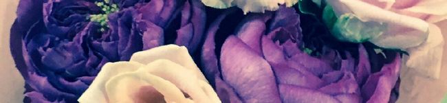 ✴マホリン✴'s header image