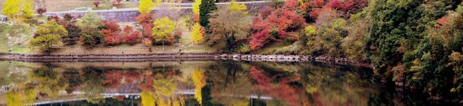 佐介さん's header image