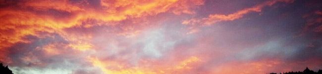 夕方エプロン's header image