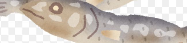 【大学生のにぼし】's header image