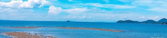 みぃさん0825's header image