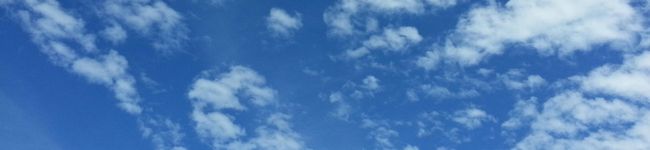 mamaco♡'s header image