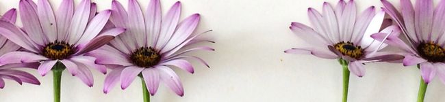 MeeLee❁'s header image