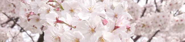 りか໒꒱·'s header image
