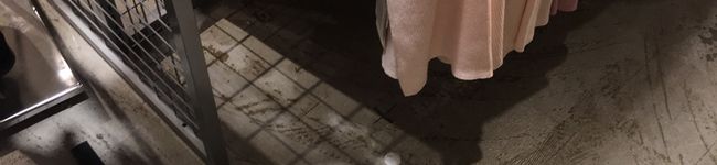 Miiiiina41's header image