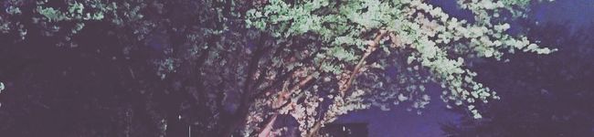 クックHL8GQB☆'s header image