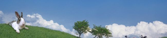 う〜さ〜's header image