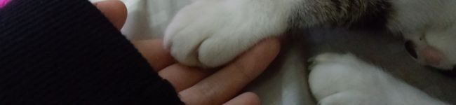 ららさん。's header image