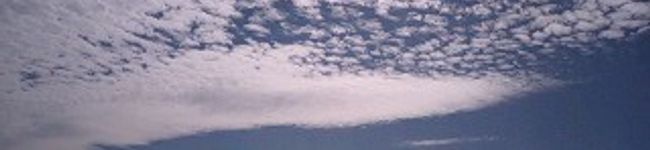 ずーすー's header image
