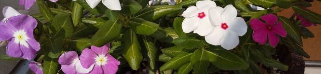 クックBTO32H☆'s header image
